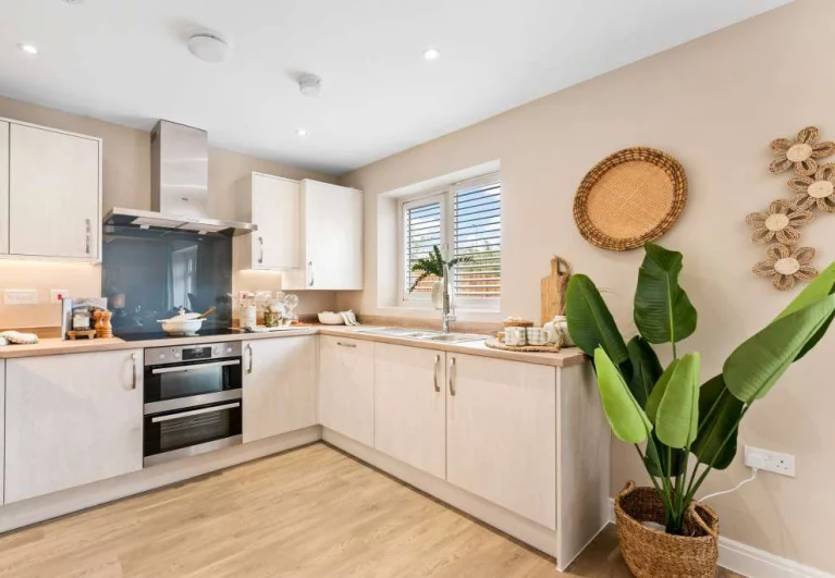 Image carousel 3502506 1762826483