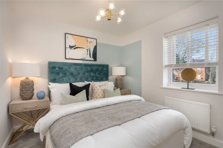 Image carousel 3503361 1763002958