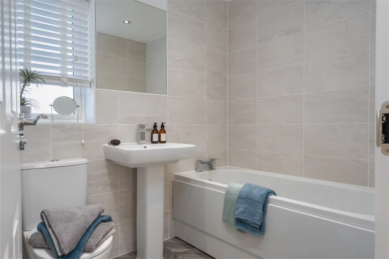 Image carousel 3503366 1763002959