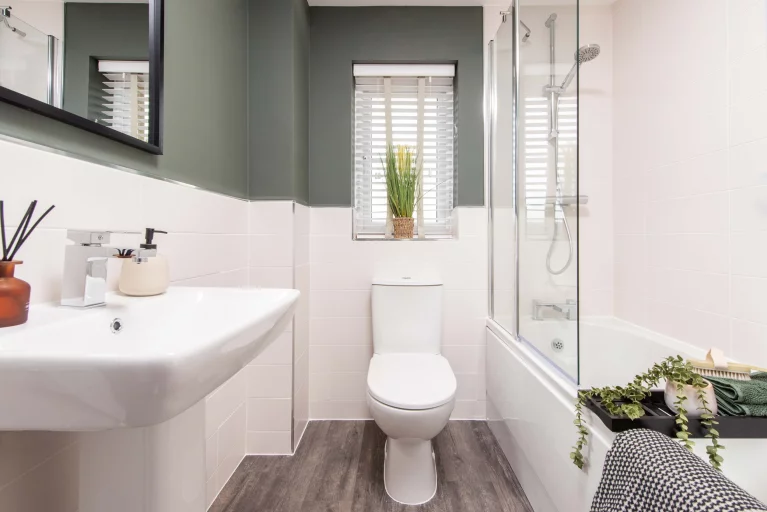 Image carousel 3503491 1763003031