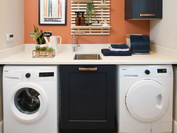 Image carousel 3503651 1763003042