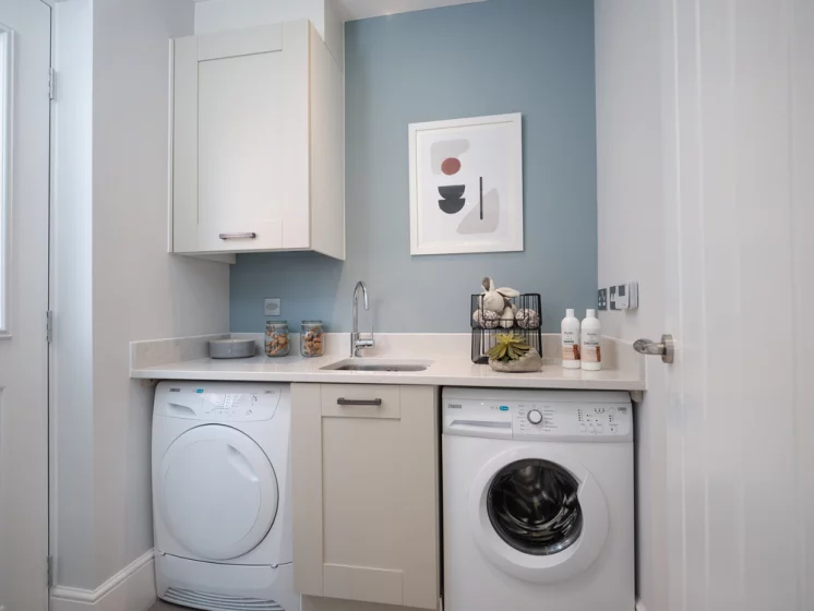 Image carousel 3503691 1763003043