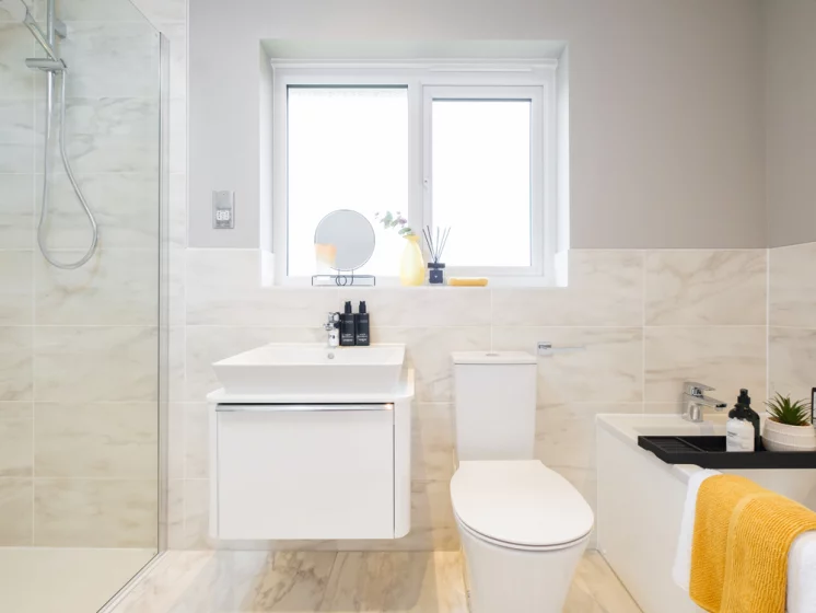 Image carousel 3503756 1763003044