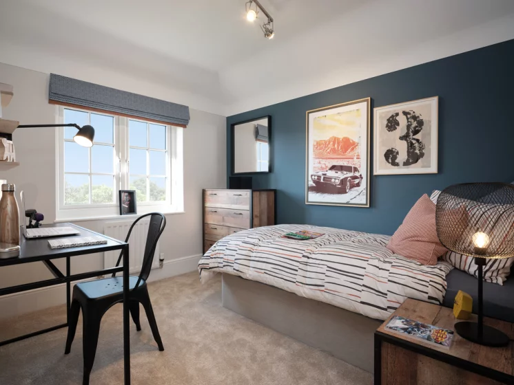 Image carousel 3503816 1763003045