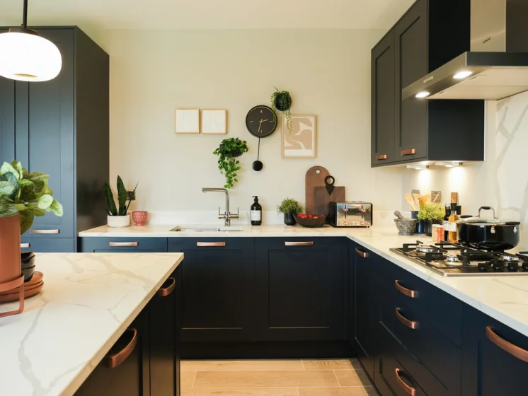 Image carousel 3503846 1763003046