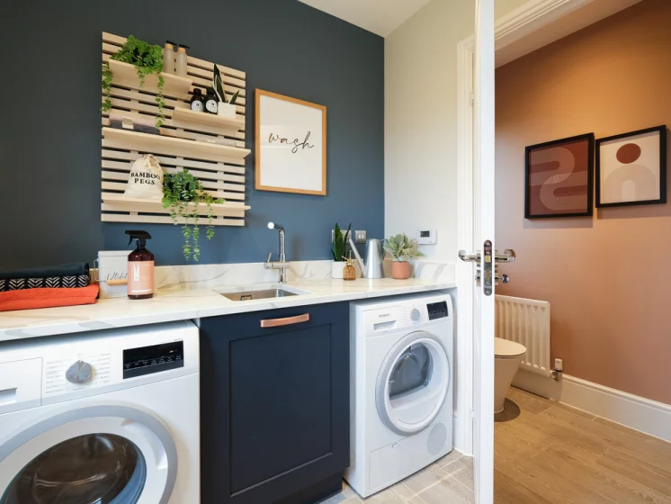 Image carousel 3503871 1763003046