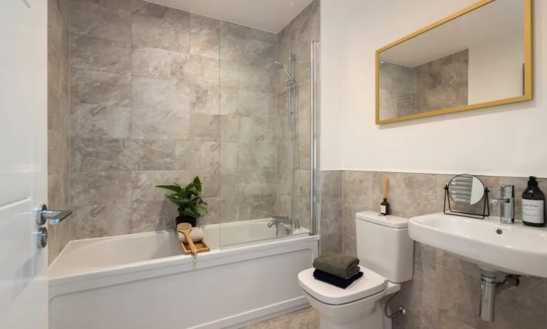 Image carousel 3504186 1763029234