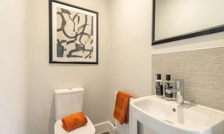 Image carousel 3504246 1763030215