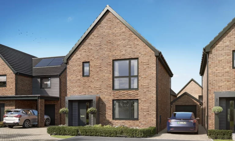 Image carousel 3504291 1763030487