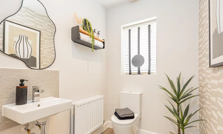 Image carousel 3504306 1763030514