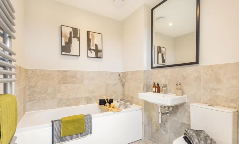 Image carousel 3504331 1763030561