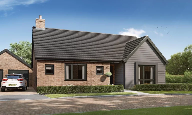 Image carousel 3504351 1763031038