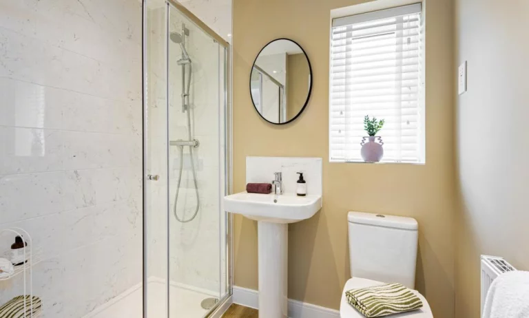 Image carousel 3504366 1763031081