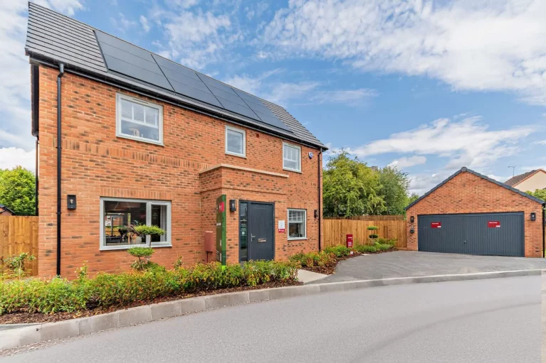 Image carousel 3507011 1763315243