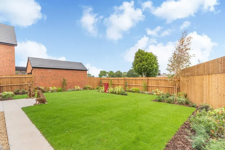 Image carousel 3507021 1763315294