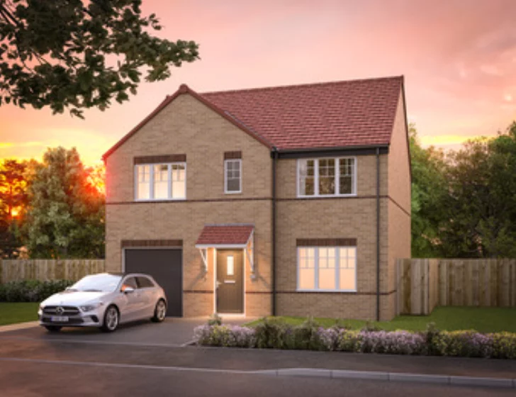 Image carousel 3508226 1763655833