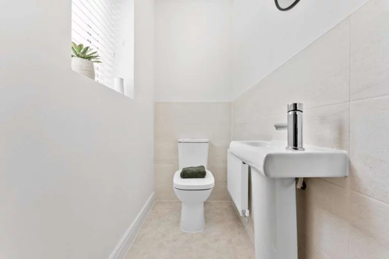 Image carousel 3508571 1763776871