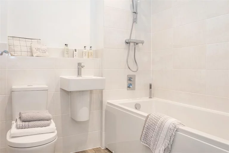 Image carousel 3508691 1763777382