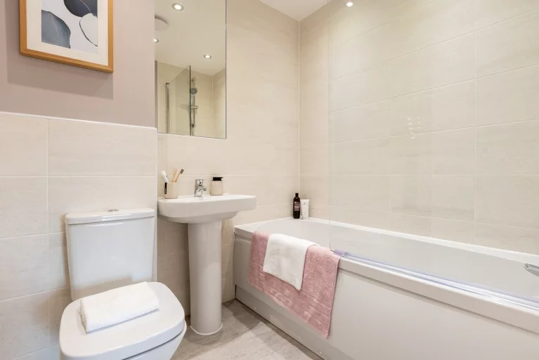 Image carousel 3509381 1764070356