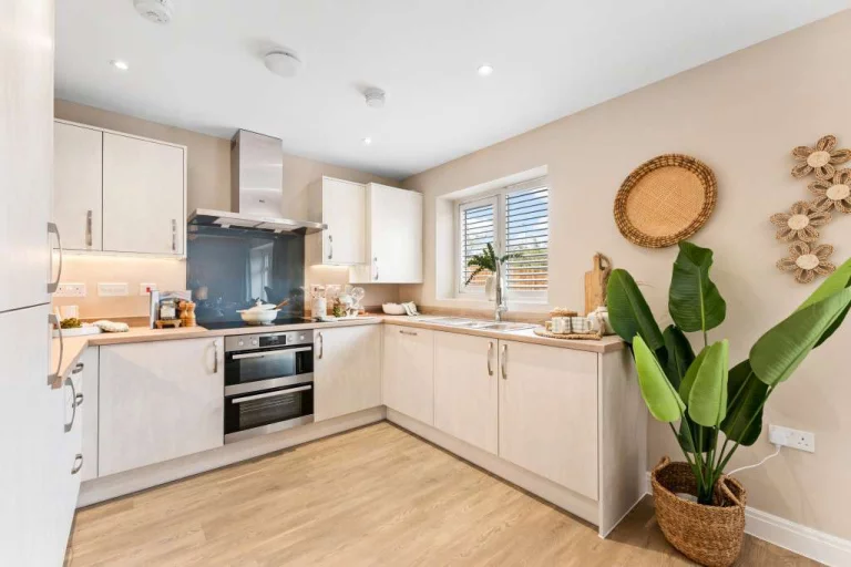 Image carousel 3509581 1764122471