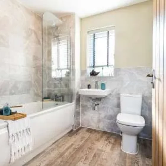 Image carousel 3509691 1764122474