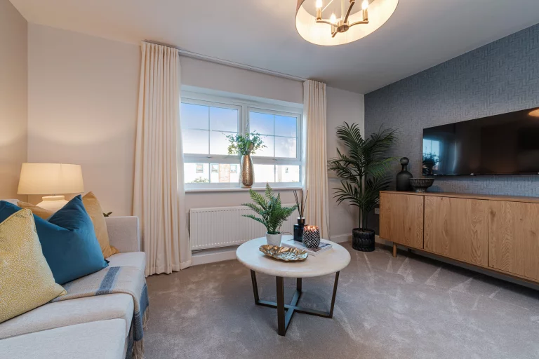 Image carousel 3510461 1764212594