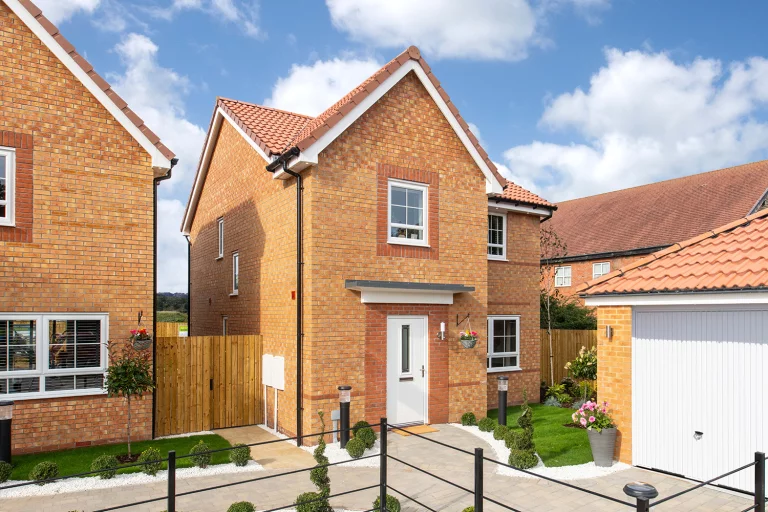 Image carousel 3510481 1764212605