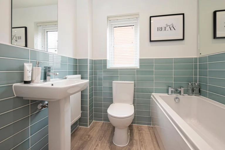 Image carousel 3510511 1764212606