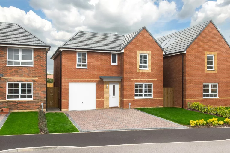 Image carousel 3510531 1764212612