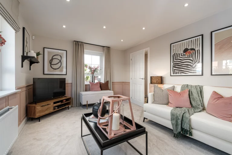 Image carousel 3510546 1764212615