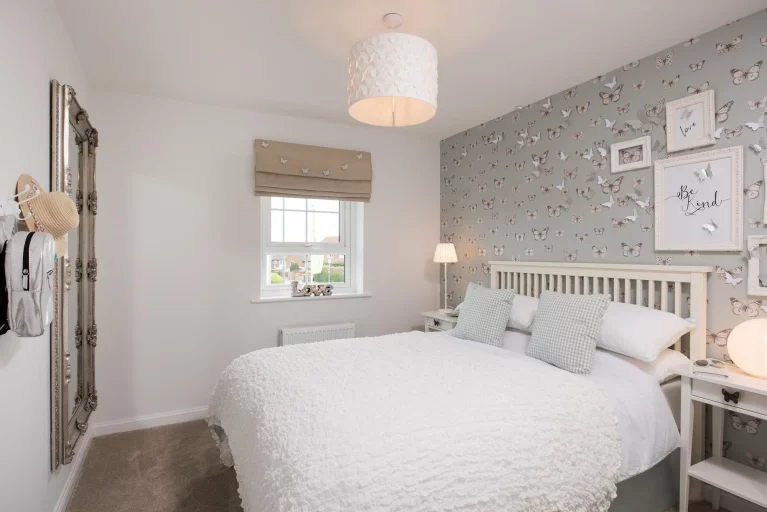 Image carousel 3510646 1764212624