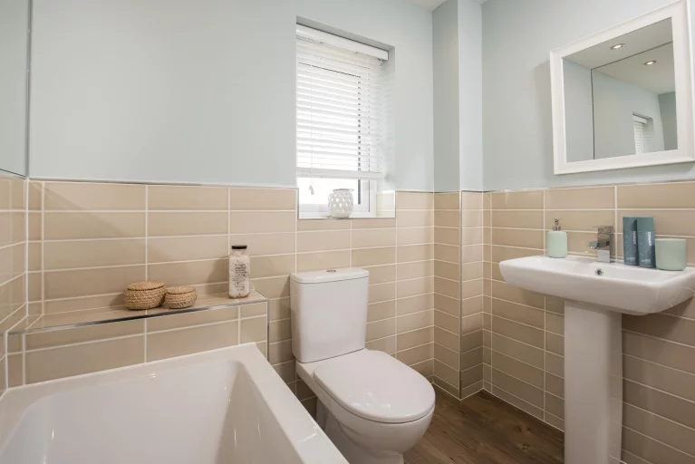 Image carousel 3510656 1764212624