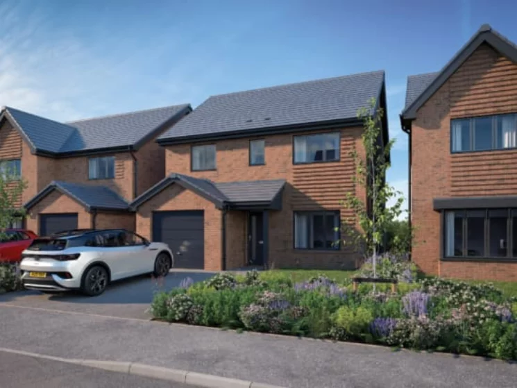 Image carousel 3510731 1764254780