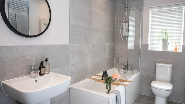 Image carousel 3510781 1764254858