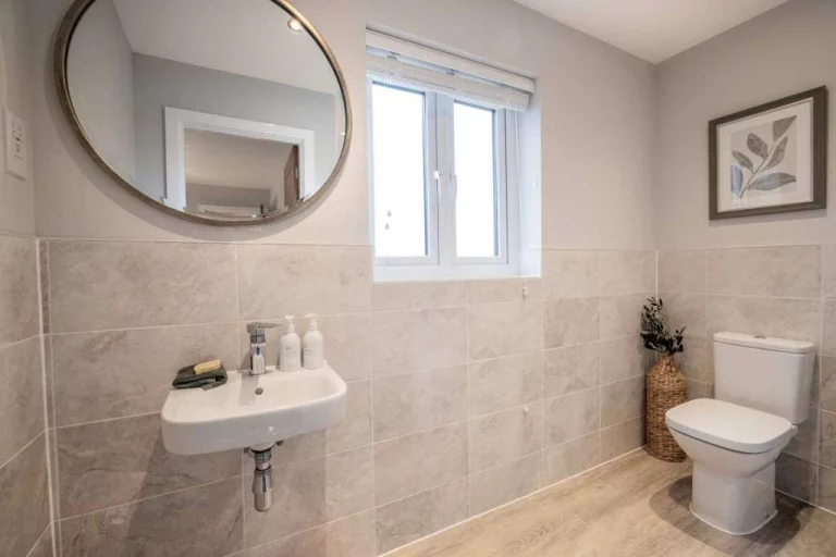 Image carousel 3510966 1764295285