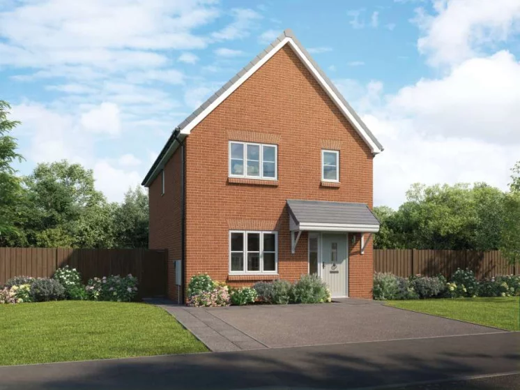 Image carousel 3511161 1764295291