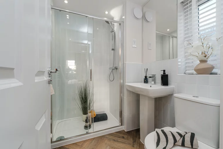 Image carousel 3511601 1764298944