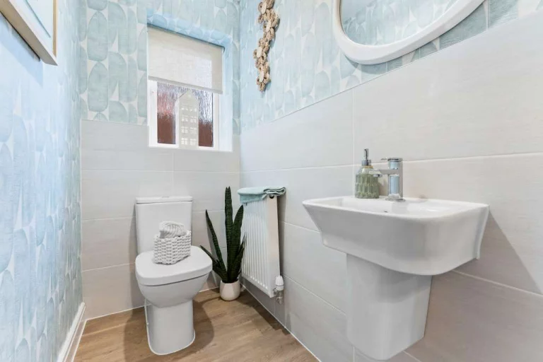 Image carousel 3511721 1764381696