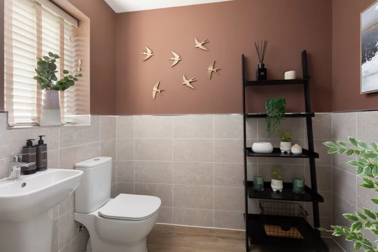 Image carousel 3513431 1764824460