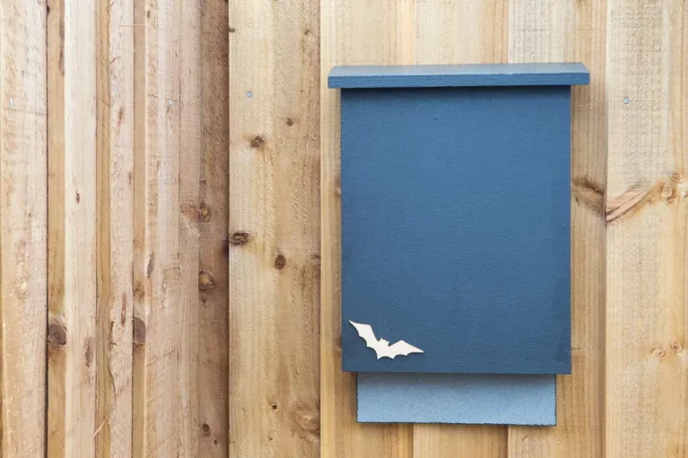 Image carousel 3513566 1764846859