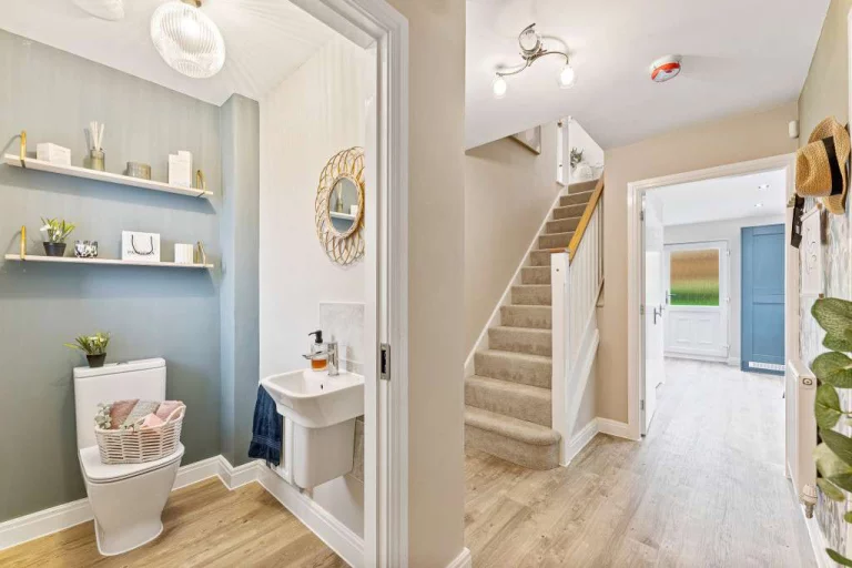 Image carousel 3513741 1764900067