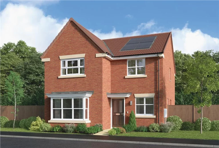 Image carousel 3513961 1764901250