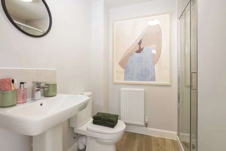 Image carousel 3514291 1764903730