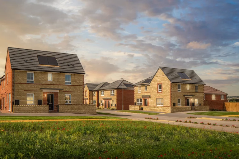 Image carousel 3515591 1765249236