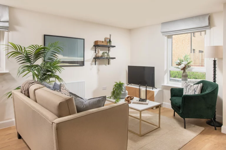 Image carousel 3515841 1765249416