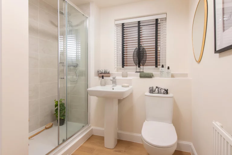 Image carousel 3515861 1765249418