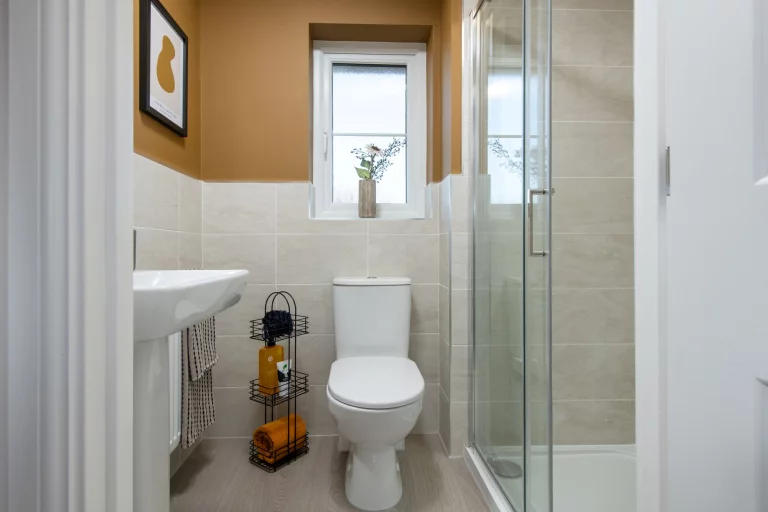 Image carousel 3516256 1765335795