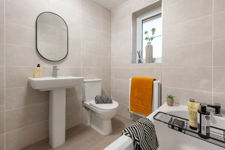 Image carousel 3516276 1765335797