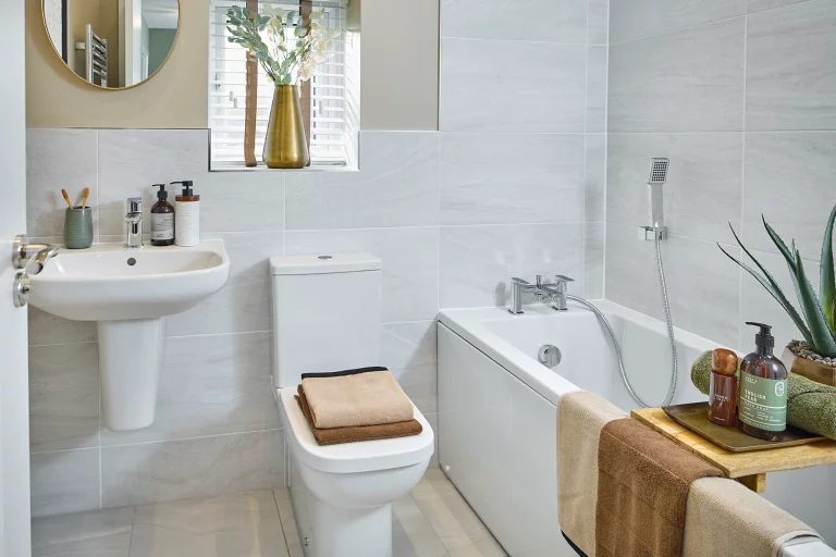 Image carousel 3516421 1765363138