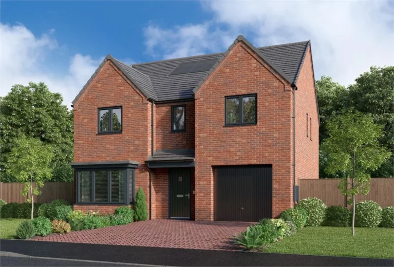 Image carousel 3516606 1765419210